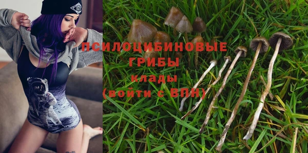 гашик Алексин