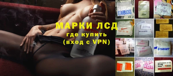 PSILOCYBIN Алзамай