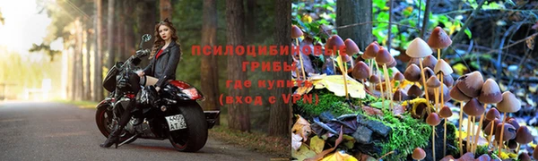 PSILOCYBIN Алзамай