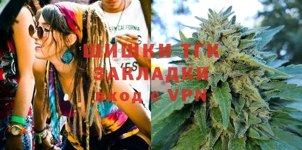 гашик Алексин